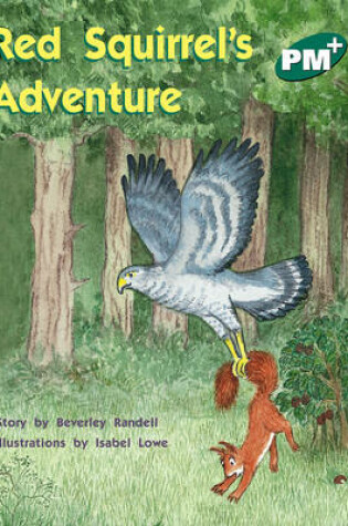 Cover of Red Squirrel's Adventure