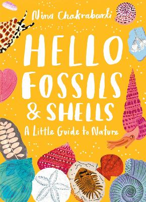 Book cover for Little Guides to Nature: Hello Fossils and Shells