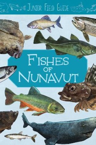 Cover of Junior Field Guide: Fishes of Nunavut