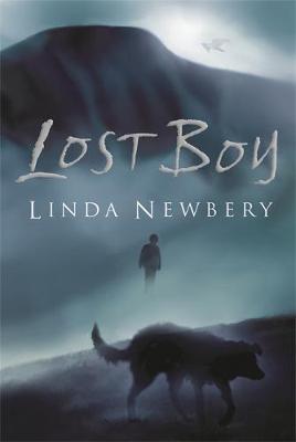 Book cover for Lost Boy