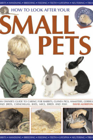 Cover of How to Look After Your Small Pets