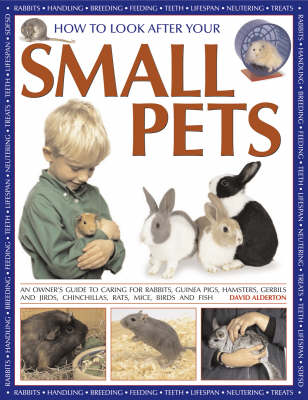 Book cover for How to Look After Your Small Pets