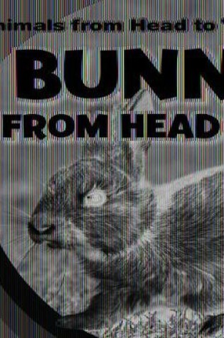 Cover of Bunnies from Head to Tail