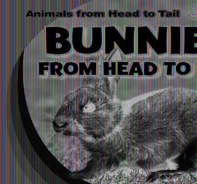 Book cover for Bunnies from Head to Tail