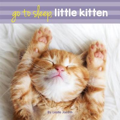 Book cover for Go to Sleep Little Kitten