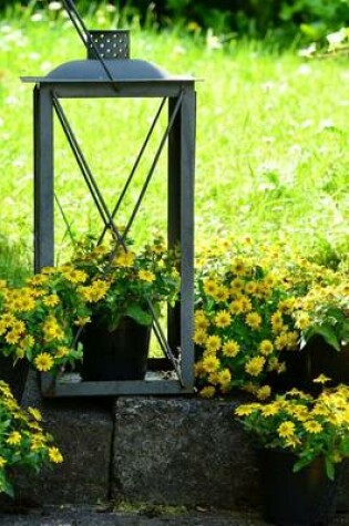 Cover of An Old Lantern Turned Into a Daisy Planter