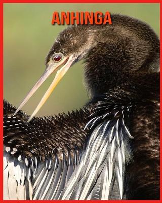 Book cover for Anhinga