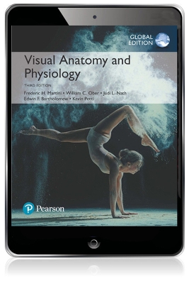 Book cover for Visual Anatomy & Physiology, Global Edition