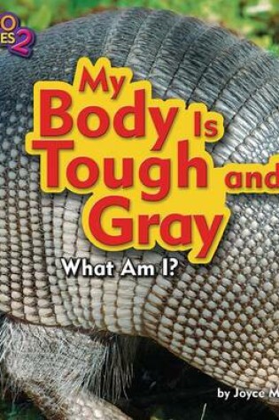 Cover of My Body Is Tough and Gray (Armadillo)