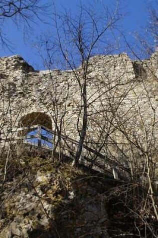 Cover of Rusenschloss Castle Ruins, Germany