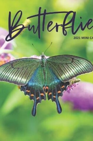 Cover of Butterflies