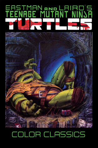 Cover of Teenage Mutant Ninja Turtles Color Classics, Volume 3
