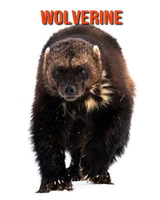 Book cover for Wolverine