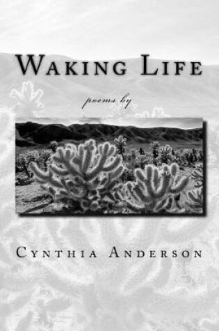 Cover of Waking Life