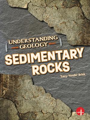 Book cover for Sedimentary Rocks