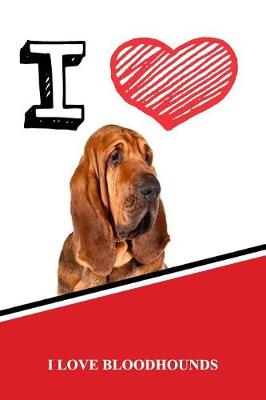 Book cover for I Love Bloodhounds