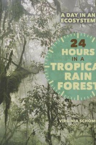 Cover of 24 Hours in a Tropical Rain Forest