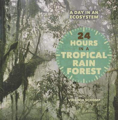 Book cover for 24 Hours in a Tropical Rain Forest