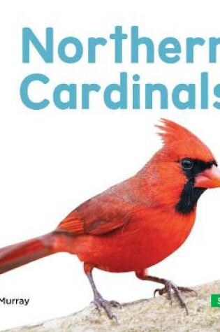 Cover of Northern Cardinals