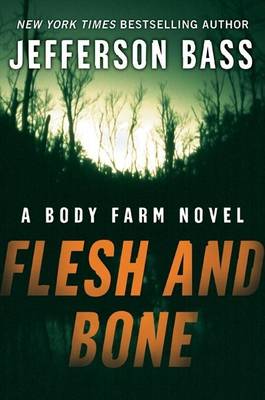 Book cover for Flesh and Bone