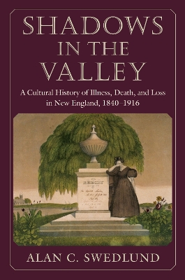 Book cover for Shadows in the Valley