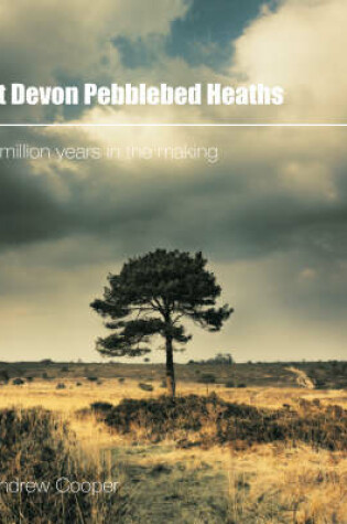 Cover of East Devon Pebblebed Heaths: 240 Million Years in the Making