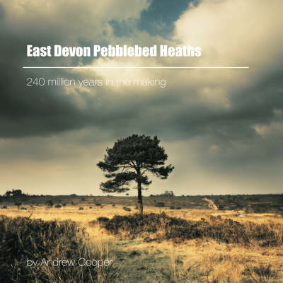 Book cover for East Devon Pebblebed Heaths: 240 Million Years in the Making