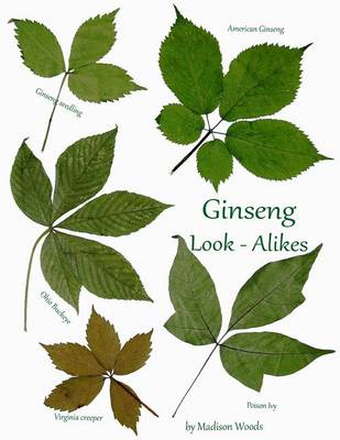 Book cover for Ginseng Look-Alikes