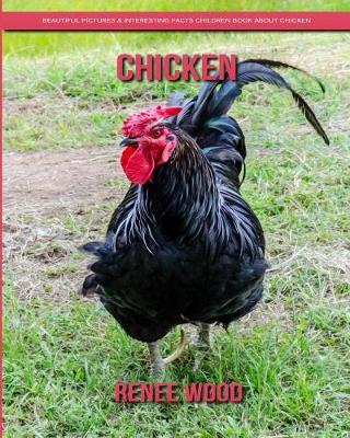 Book cover for Chicken