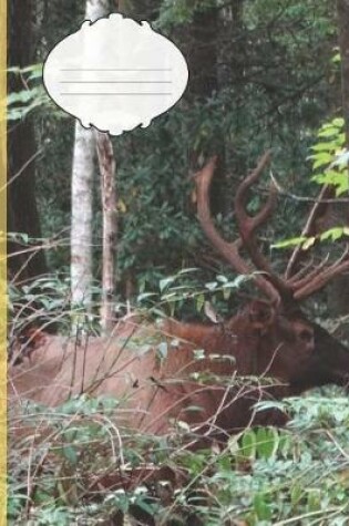 Cover of Cute Bull Elk in the Smoky Mountain National Park Wildlife Photograph College-ruled Lined School Composition Notebook