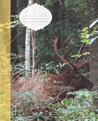 Book cover for Cute Bull Elk in the Smoky Mountain National Park Wildlife Photograph College-ruled Lined School Composition Notebook