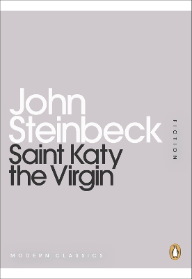 Book cover for Saint Katy the Virgin