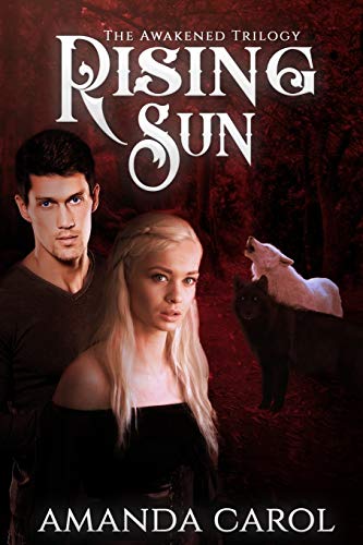 Cover of Rising Sun