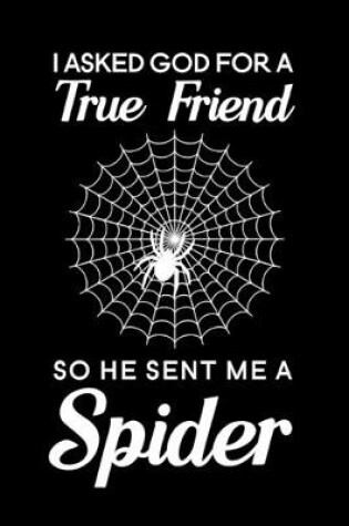 Cover of I asked god for a true friend so he sent me a spider