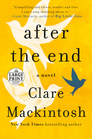 Book cover for After The End