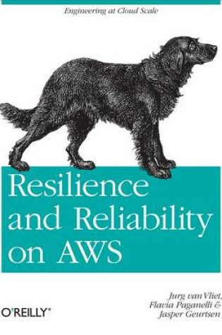 Cover of Resilience and Reliability on Aws