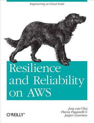 Book cover for Resilience and Reliability on Aws