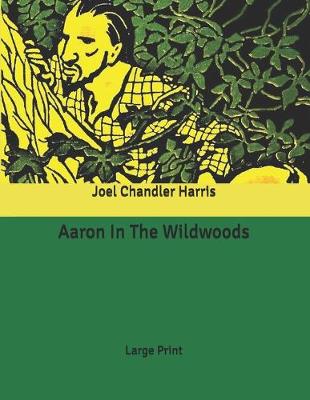 Book cover for Aaron In The Wildwoods