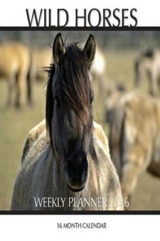 Cover of Wild Horses Weekly Planner 2016