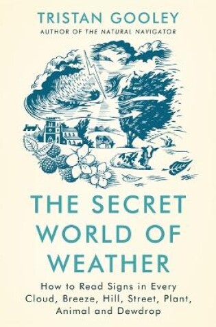 Cover of The Secret World of Weather