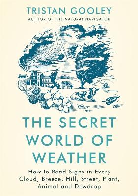 Book cover for The Secret World of Weather