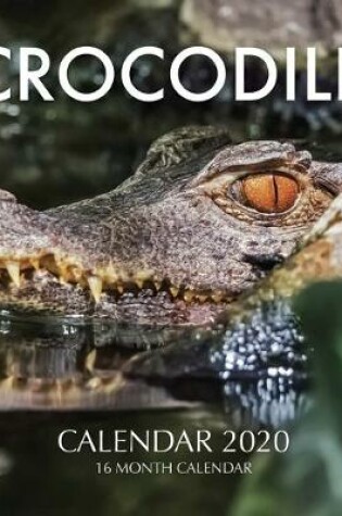 Cover of Crocodile Calendar 2020