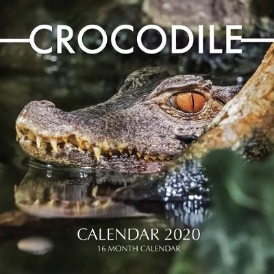 Book cover for Crocodile Calendar 2020