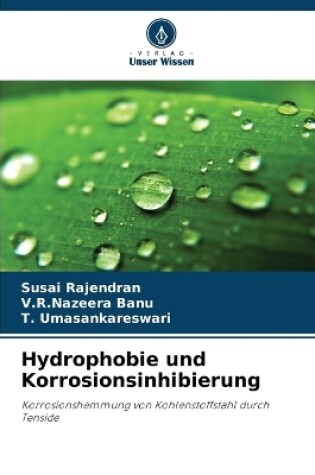 Cover of Hydrophobie und Korrosionsinhibierung