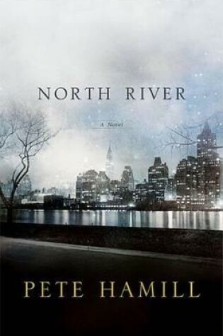 Cover of North River