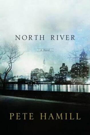 Cover of North River