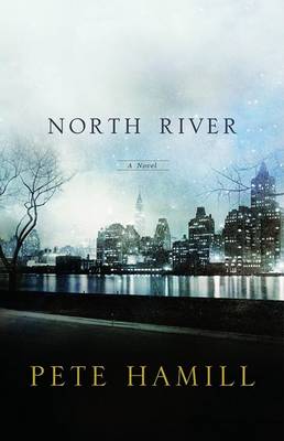 Book cover for North River