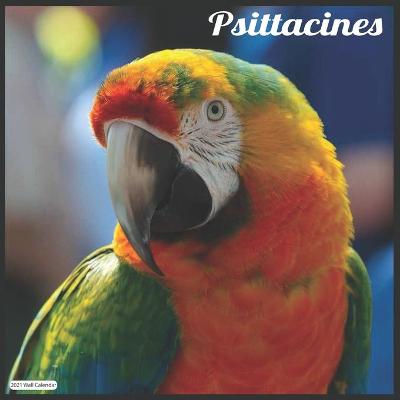 Book cover for Psittacines 2021 Wall Calendar