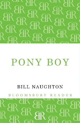 Book cover for Pony Boy