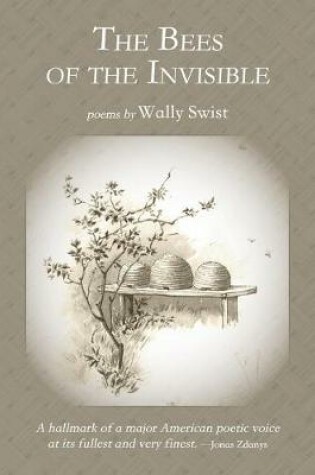 Cover of The Bees of the Invisible